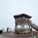 뚜루뚜루 이미지