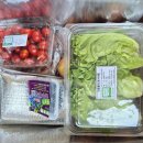 주식회사 신선푸드 이미지