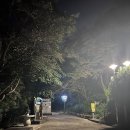 죽도봉 주차장 내 이미지