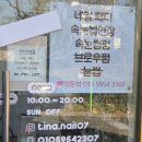 12 | [대구 네일샵] 동구 반야월 티나네일 12월 심플아트 후기