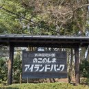 바다너머 | [후쿠오카 여행] 노코노시마 아일랜드 파크 : 바다 너머 펼쳐지는 꽃의 낙원, 힐링 그 자체