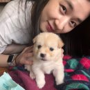 민경농장 이미지