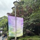 봄의언덕 | [콘서트] 2026 이소라 여덟번째 봄 콘서트 ‘봄의 미로’ 관람 후기