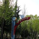 더소야소부평 이미지