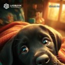 아름다운 반복 이미지