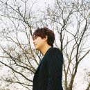 규현 카카오 검색결과