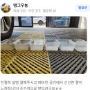 동탄 에바크리닝｜디테일러명 동탄점이 곰팡이 냄새 확실히 잡아드려요!