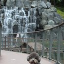 운암지 수변공원 이미지