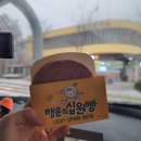 이삭세탁빨래방 | 강원도 정선 하이원 스키장 후기(+렌탈샵 추천)
