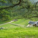 단종 어수정 이미지