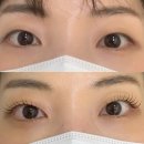 아이끌레르 | 강남역 속눈썹펌 아이끌레르 무쌍 유지력 좋은 속눈썹 파마잘하는 곳