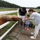 제주매직투어
