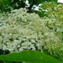 바로여기약국 이미지