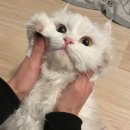오랜만에 돌아온 일상 9월10월