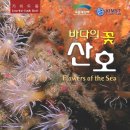 산호자원 이미지