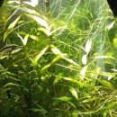 이소정집밥뷔페 이미지