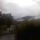 산내과수