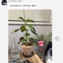 까만소 | 11월 일상기록(2)