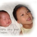 선영