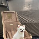 미래로약국 | 임신 16주차 기록 | 2차 기형아 검사, 임산부 영양제, 배크기, 체중 증가