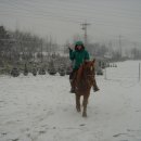 태호농장 이미지