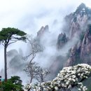 청산화원 이미지