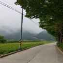 죽암영농 이미지