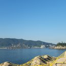 오동도 Daum카페
