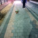 곱깨비 이미지