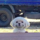 룰루랄라 이미지