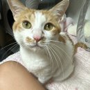 [공지] 26년 3월