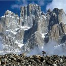 참아름@ 이미지