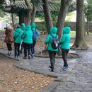 크로커다일제주