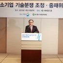 대지정판사