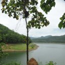 140624화 Srilanna 국립공원내 댐주변 탐방 이미지