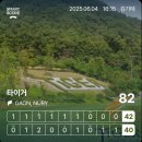 타이거CC