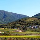 지리산 산골농원 이미지