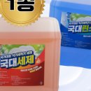 돌핀상사