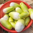 햇살품은 김치 이미지