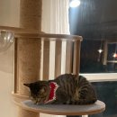 (주)티베리 이미지