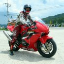 레드라인 이미지