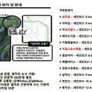 세인트21 이미지