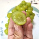 양감농장 이미지
