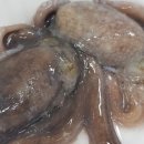 천하수산 이미지