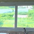 stay봄날 이미지