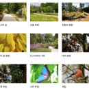 네덜란드 위트레흐트 | 위트레흐트 보타닉 가든 방문 후기 Utrecht Botanic Gardens
