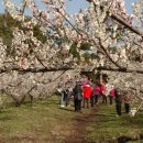 매화영농조합법인 이미지
