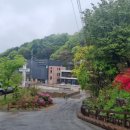 KIM&KIM FARM | 우프코리아 GG101 해국심기 2025년 4월 우프후기(1)