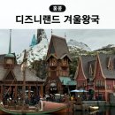 홍콩 디즈니랜드 겨울왕국 어트랙션 에버애프터 패스트패스 DPA 구매