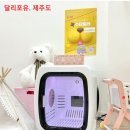 달리포유 이미지